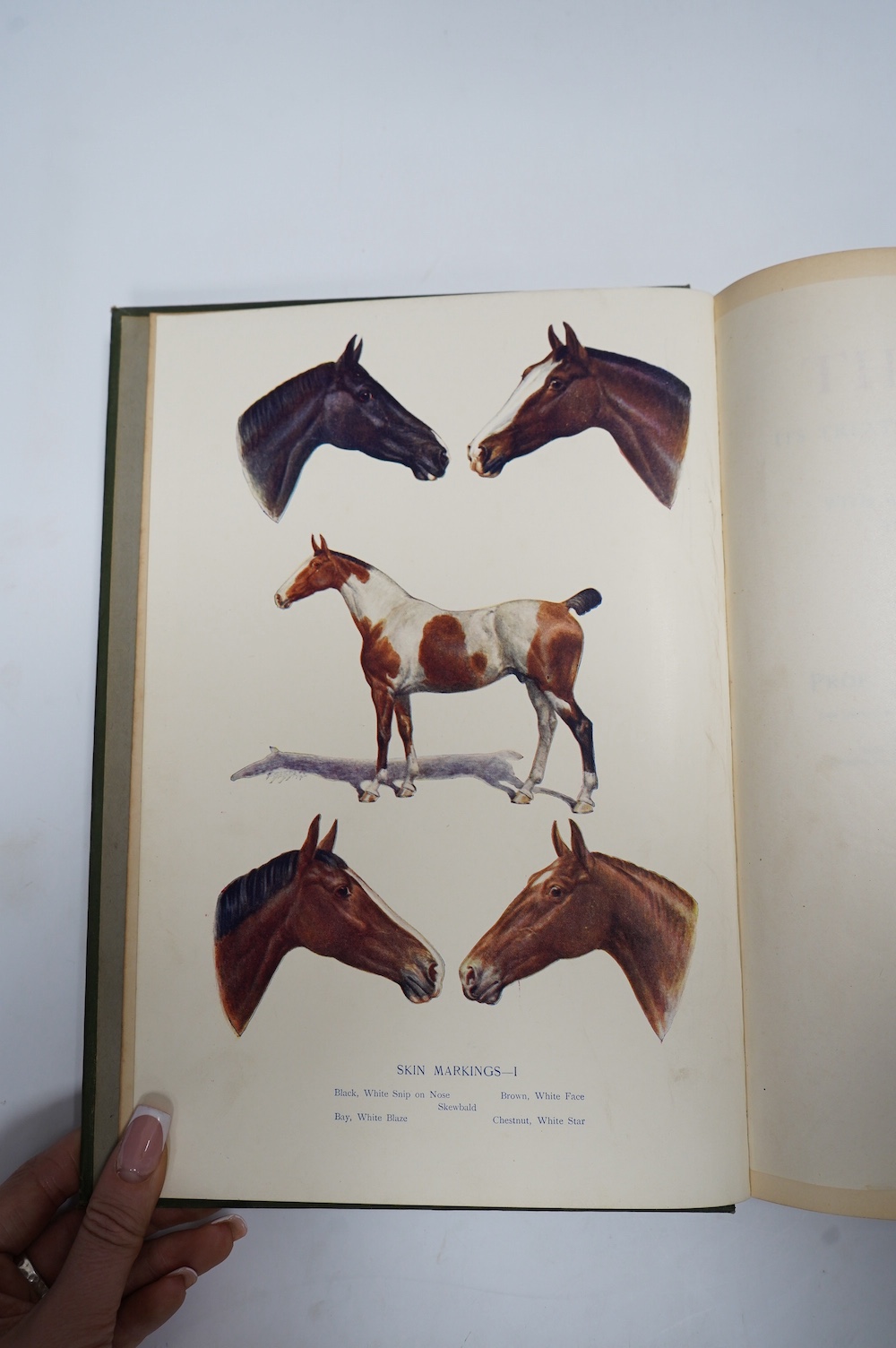 Axe, J. Wortley (editor) - The Horse: its treatment in health and disease. With a complete guide to breeding training and management. 9 vols. many plates (some coloured and folded), 13 folded pedigree tables, many text i